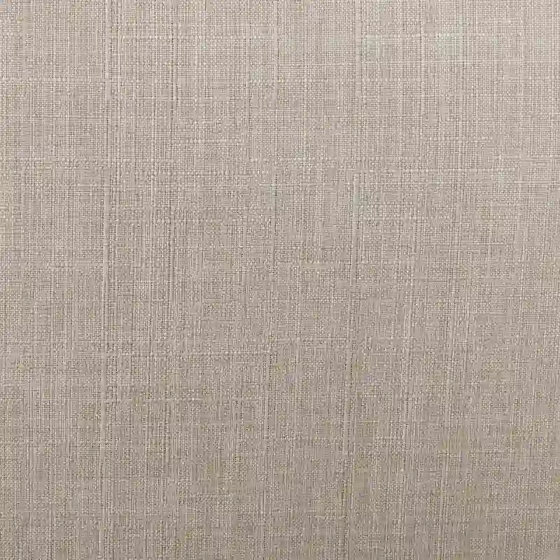 Cova Contemporary Beige Fabric Vinyl Accent Chair by Furniture of America