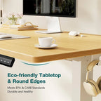 Electric Height Adjustable Standing Desk,Sit to Stand Computer Desk